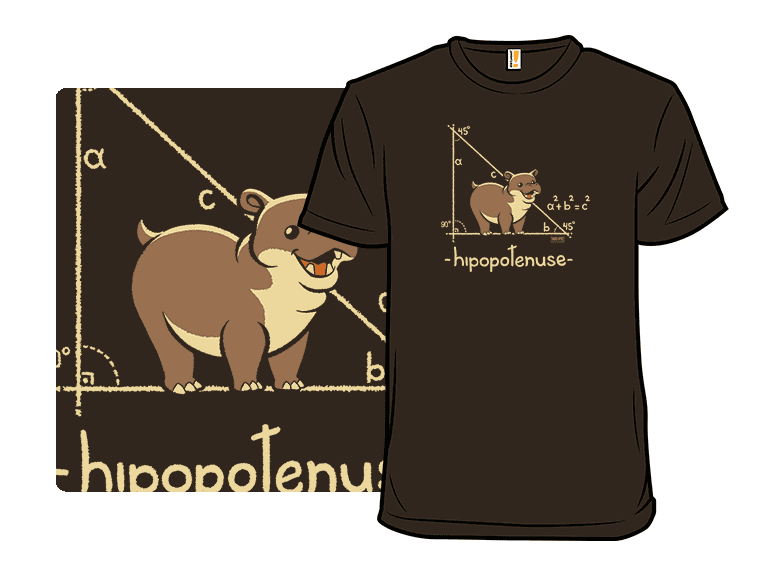Hypotenuse