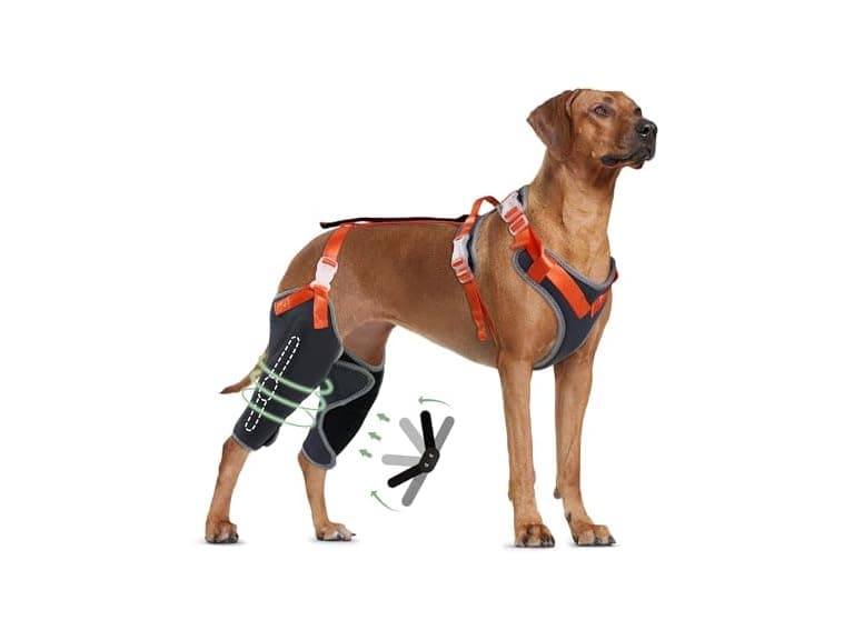 LISPOO Dog Knee Brace for ACL/CCL Injuries,To - Image 1