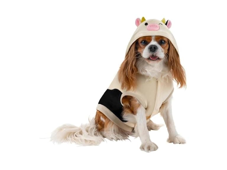 Squishmallows Connor The Cow Pet Hoodie - Image 1