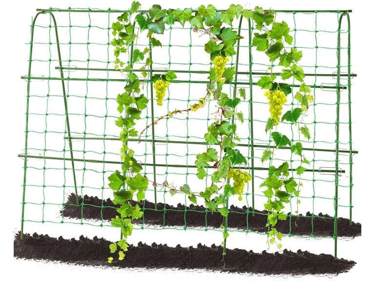 FOLLOOK Garden Cucumber Trellis, 63x48in - Image 1
