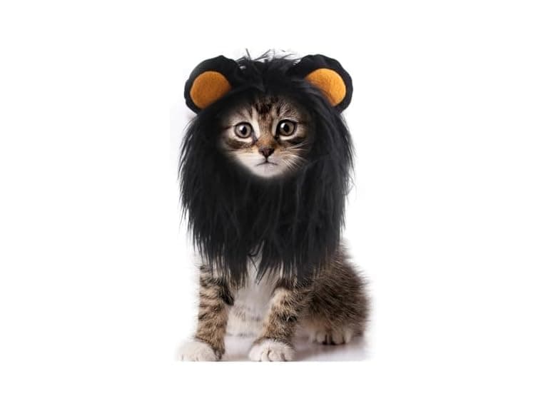 WALDOR Pet Hair Costume - Image 1