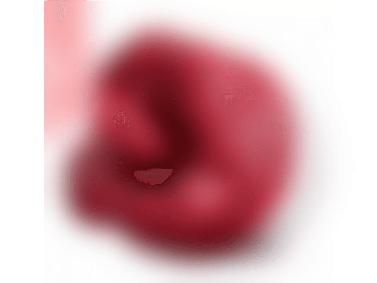 Mega Rose Vibrator 10 Speed For Women - Image 1