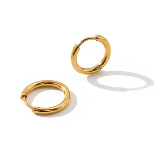 Hypoallergenic Titanium Hoop Earrings for Women&Men-8mm 10mm 12mm Small Silver Huggie Hoops,Cartilage&Helix Sleeper Earrings (Gold, 10mm) - Image 1