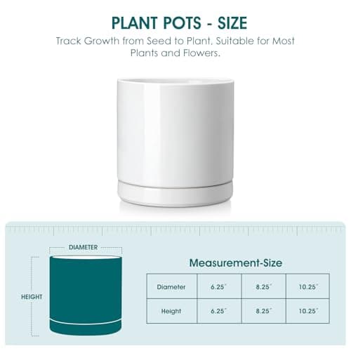 vancasso Ceramic Plant Pots, 8.25 Inch Ceramic Pot for Plants, Planters Pots for Indoor Plants with Drainage Holes, Flower Pot for Indoor House Plant, White - Thumbnail 2