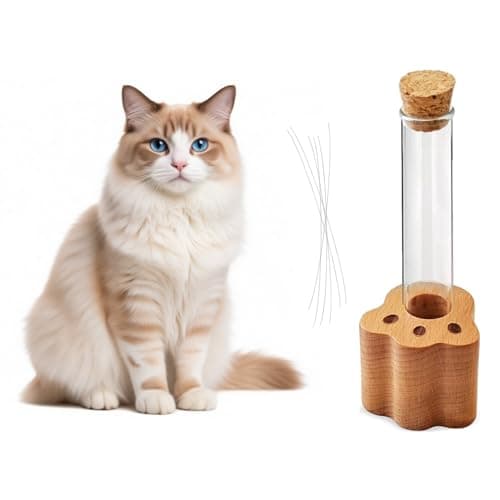 DegoCyhton Cat Whisker Holder, Wooden Clear Glass Jar, Sealed Cork Memorial Vase, Premium Cat Fur Keepsake, Desktop Display Decor Accent, Home Decor for Feline Owners, Thoughtful Pet Lover Gift - Image 1