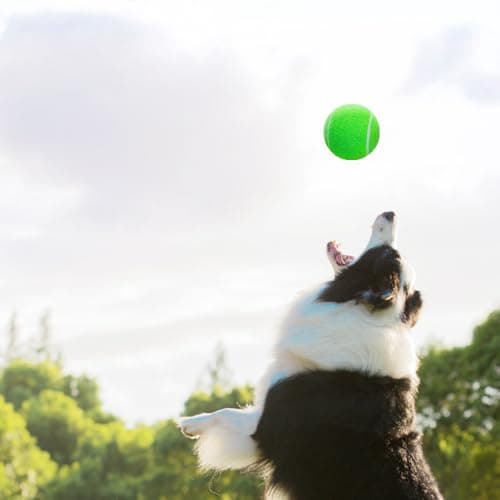 AQPU 3-Pack Tennis Ball Dog Toys with Squeaker, Interactive Fetch Play for Pets 40 lbs and Over ，Training Balls for Indoor & Outdoor Exercise, 3.28-inch (Green, 18PCS)