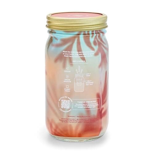 Modern Sprout Mason Garden Jar - Self-Watering Hydroponics Growing System Kit with Organic Herb Seeds - Jar Planter for Indoor Herb Garden - Seed Starter Kit - Home Decor & Gifting - Rosemary - Thumbnail 4