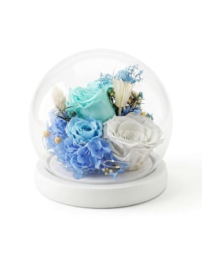 Nysunten Forever Preserved Flowers Decoration in Clear Glass Dome, Long Lasting Flowers Gift for Her, Romantic Gift for Mother’s Day Valentine’s Day (Blue) - Image 1