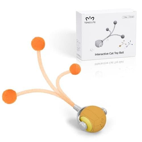 TENECUTE Cat Toys for Indoor Cats, Interactive Cat Toy Ball with Pom-Pom Tails, Automatic Cat Toy Self Play Exercise Toy to Relieve Boredom for Kitten & Adult Cats (Orange)