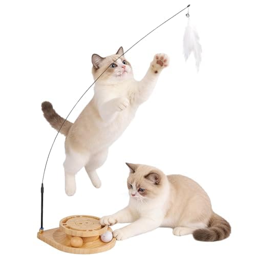 Autyomo Interactive Cat Toy for Bored Cats - Feather Wand & Track Ball, 15 Replacement Heads, 2 Wooden Balls & 1 Bell Ball, Anti-Slip Base, Easy Assembly Cat Teaser for Kittens & Adult Cats - Image 1