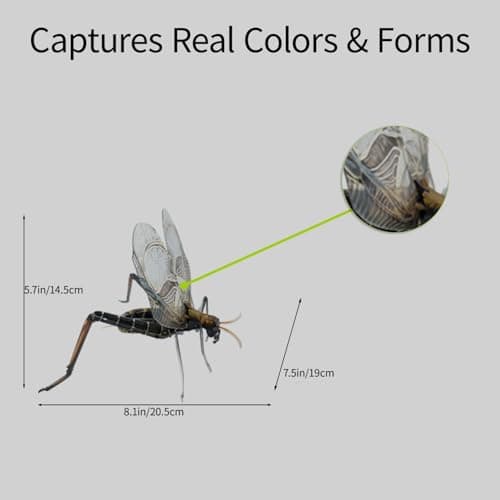 HELLOTOY 3D Acrylic Insects Puzzles DIY Bug Model Kit for Teenagers Educational Display Nature Decoration Figurine Sculpture (Bell Cricket) - Thumbnail 4