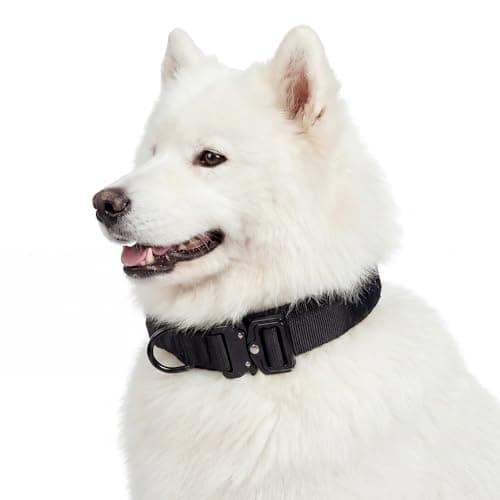 Relux Tactical Dog Collar with Handle - Adjustable Pet Collar Designed for Medium Dogs with Heavy-Duty Metal Buckle, Durable and Comfortable Dog Collar, Suitable for Medium Dogs (Black, L) - Image 1
