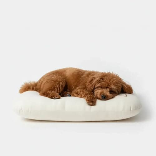 Lumicedar Washable Dog Bed Ultra Soft Plush Dog Crate Mat, Dog Bed for Crate, 3.2" Thick Dog Bed Mat, Kennel Pad for Small and Medium Dogs, 24"x18", Beige - Image 1