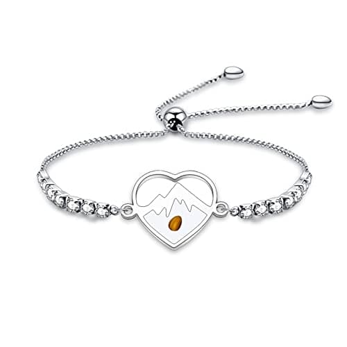 YLWJSP Mustard Seed Bracelet Christian Gift Jewelry Faith Inspirational Religious Gift for Women (Heart Seed Br) - Image 1