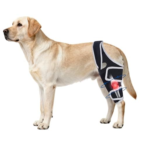 Moysoon Dog Knee Brace for Torn Acl Hind Leg, Relieves Ligament Injury and Joint Pain, Adjustable Leg Support Bracket for Warmth and Support, Universal Dog Knee Brace for Four Legs,(XL).
