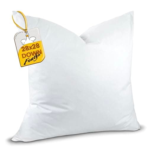 Ichrysania 28x28 Inch Down and Feather Throw Pillows Insert