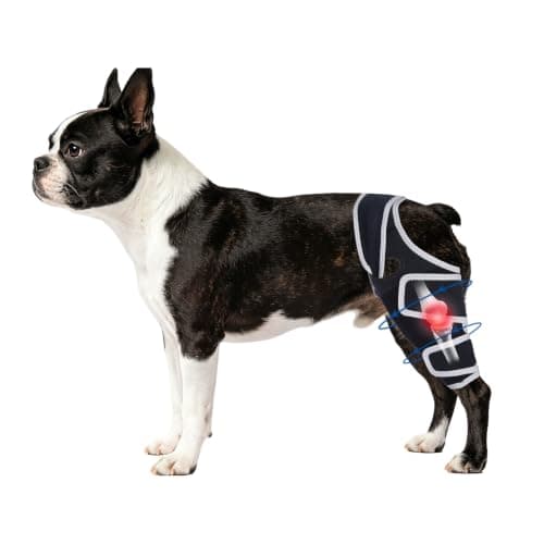 Moysoon Dog Knee Brace for Back Leg,Adjustable Leg Bracket for Support, Universal Dog Knee Use,(Size S).
