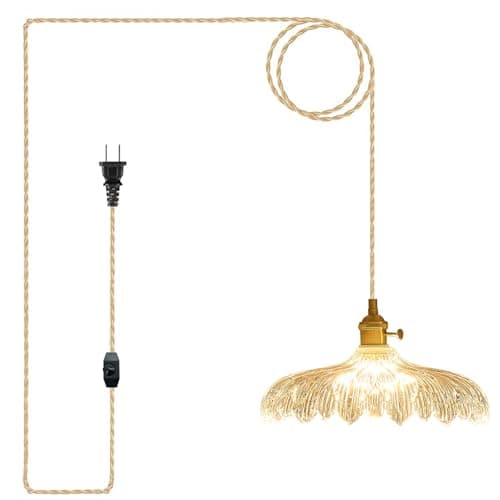 Oyisen Plug in Pendant Light, 14Ft Cord Clear Glass Shade Hanging Light, Industrial Pendant Light for Dinning Room On/Off Switch Hanging Lamp Plug in, Bedroom and Kitchen Island