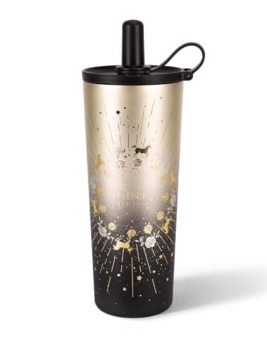 GiNT 25 oz Tumbler with Straw, Insulated Cup with Straw, 316L Stainless Steel Travel Tumbler with Leak-Resistant Screw Lid, Sweat-Free Cupholder Friendly Water Cup, Raised Gold Foil Artwork