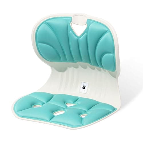 BKT Lumbar Support Seat Cushions Student Chair, Ergonomic Chair Back Support for Long Sitting Students Studying, Reading, Doing Homework, Watching TV (M-Aqua Teal)