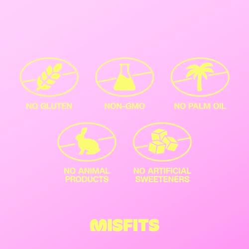 Misfits Vegan Protein Bars - Fudgey Brownie Batter| Nutrition Bars - 14g Protein, 1g Sugar, Plant-based, Low Carb, Non-GMO, Gluten Free Snacks | Pack of 12 - Thumbnail 4