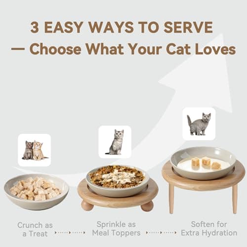 Heckin Yum Freeze Dried Chicken Cat & Dog Treats, Single Ingredient, Healthy Cat Snacks & Food Toppers for Picky Cats, 4 oz - Thumbnail 4