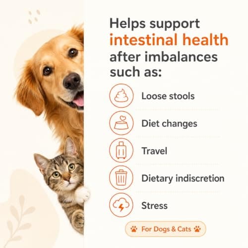 PUAINTA Probiotics for Dogs & Cats – 8-Strain Probiotic with Prebiotics for Digestive & Gut Health, Immune & Stool Support, Helps Dogs Eating Dirt, Grass & Non-Food Items (90 Count) - Thumbnail 3