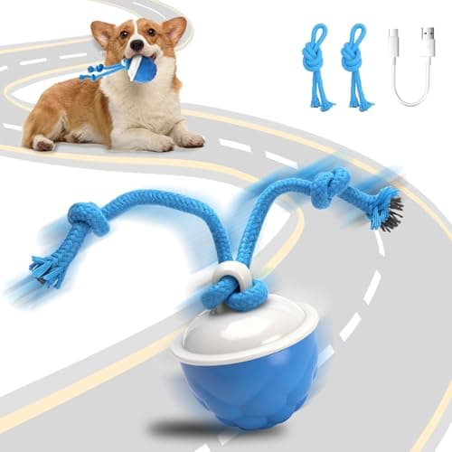 MewZoo Interactive Dog Toys-Automatic Moving Dog Toy for Boredom, Squeaky Smart Motion Pet Ball for Small Medium Large Dogs, Rope Chew for Teeth Cleaning, Outdoor Waterproof (Blue) - Image 1