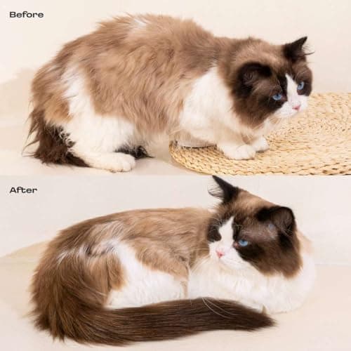 Muddi Pet Cat Concentrated Waterless Rinse-Free Shampoo & Conditioner with Bath Mitt – Sensitive Skin, Stress & Itch Relief Gentle Leave-in Serum – 98.65% Naturally Derived-Dry Shampoo for Cats–8×10ml - Thumbnail 6
