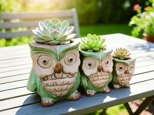Giafiny Cute Owl Planter, Small Funny Succulent Pots, Unique Decorative Animal Statue Ceramics Plant Pot for Indoor/Outdoor Home Office with Drainage, Owl Gifts for Women Mother Teacher, Three Owls - Thumbnail 2