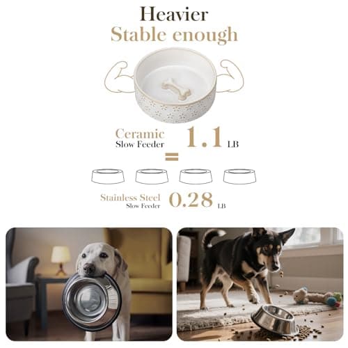 MALACASA Ceramic Dog Food Bowl, 1.5 Cups or 14oz Dog Food Water Dish for Small Breeds, Cats Pet Bowl Dishwasher & Microwave Safe, Five-Leaf Grass, Series Lydia - Thumbnail 5