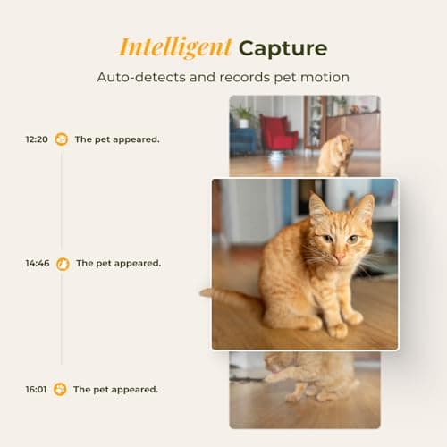 ARENTI Automatic Cat Feeder with Camera, 4L Auto Cat Food Dispenser for Cats, Smart WiFi Pet Feeder with App, 2K HD Two-Way Audio Meal Call, Dual Power, Color Night Vision, 2.4GHz/5GHz & Bluetooth - Thumbnail 3