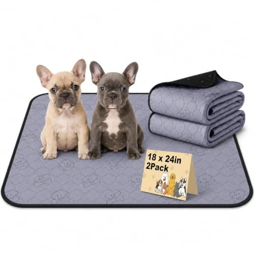 Washable Pee Pads for Dogs, 18"x24" 2 Pack Reusable Puppy Training Pads, Super Absorbent Waterproof Leak-Proof Dog Pee Pads, Non-Slip Bottom, Heavy Duty Whelping Pads for Crate, Playpen, Bed, Floor - Image 1