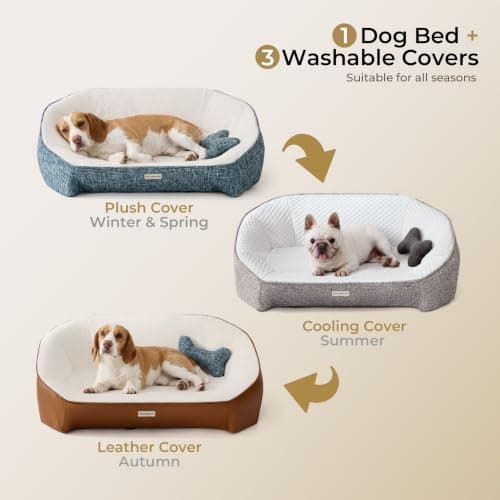 Aurapaws Orthopedic Dog Bed for Medium Small Dogs up to 120lbs, 48D Extra Thick One-Piece Memory Foam Dog Bed, Never Sag Pet Sofa Couch with 3 Removable Washable Covers (Plush, Cooling, Leather) & Toy - Thumbnail 2