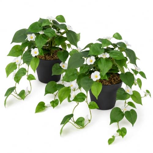 Corvessee Fake Plants – Set of 2 Pothos in Black Pots, Realistic Artificial Pothos for Indoor Decor, Lifelike Greenery for Living Room, Shelf, Office - Pothos with White Petunia - Image 1