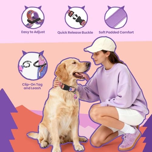 PawView Dog Collar and Leash Set, QR Tag Adjustable Pet Collar, 5 FT Heavy Duty Dog Leash, Padded Handle, Quick Release Buckle, Metal Ring, 360° Swivel Clip for Medium Dogs Walking Running (Purple, M) - Thumbnail 3