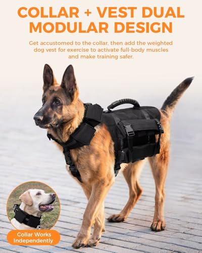 LISPOO Tactical Weighted Dog Vest for Exercise with Adjustable Weighted Collar, Pocketed Design, Dog Weight Vest Suitable for Walking, Strength Training, Muscle Building with Medium & Large Dogs (L) - Thumbnail 2