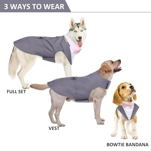 DORA BRIDAL Dog Tuxedo for Large Dogs, Dog Suit and Bowtie, Formal Dogs Wedding Outfit, Pet Tuxedo and Bandana Set Valentines Birthday Christmas Party Costumes for Labrador,Golden Retriever, Grey, 2XL - Thumbnail 2