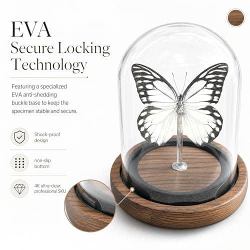 Wugakio Glass Taxidermy Butterfly Specimen Shadow Box, Butterfly Gifts for Women Girls with Glass Cover, Butterfly Decor for Bedroom Office Living Room Desk (Prioneris thestylis) - Thumbnail 5