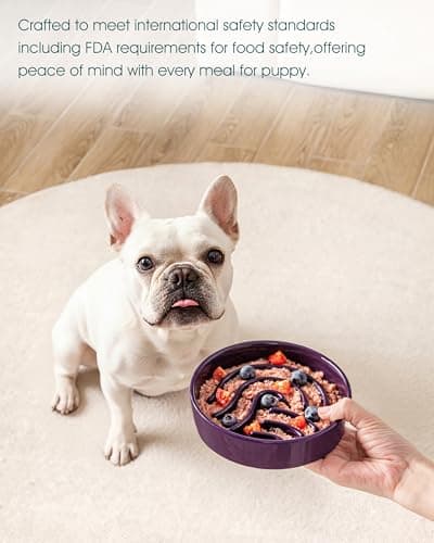 vancasso Slow Feeder Dog Bowl, 0.6 Cup Ceramic Slow Feeding Food Dish for Small Breed, Puzzle Dog Food Bowl for Fast Eater, Dark Purple - Thumbnail 6