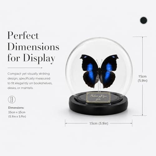 Wugakio Glass Taxidermy Butterfly Specimen Shadow Box, Butterfly Gifts for Women Girls with Glass Cover, Butterfly Decor for Bedroom Office Living Room Desk (Napeocles jucunda) - Thumbnail 6