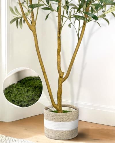 LuceAlberi Artificial Olive Tree 6FT - Tall Faux Olive Trees Indoor with Planter&Cotton Basket, Large Fake Olive Plants Realistic Branches Natural Wood Trunk and Fruits for Home House Office Decor - Thumbnail 4