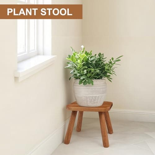 zaowofires Solid Wood Step Stool，Wooden Plant Stool, Wood Plant Stand, Round Footstool, Removable Portable, Small Short Shoe Changing Stool (Walnut, 9.3inch) - Thumbnail 4