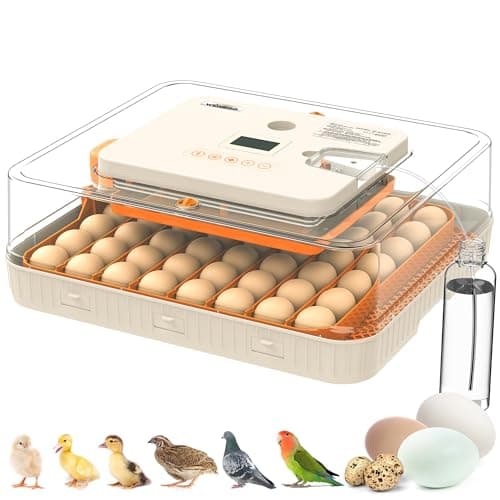 Incubator for Hatching Eggs, 56 Eggs Incubator with Automatic Egg Turning, Temperature & Humidity Control, LED Egg Candler, Incubation Days Display, for Chicken, Duck, Goose, Quail, Parrot Bird Eggs - Image 1