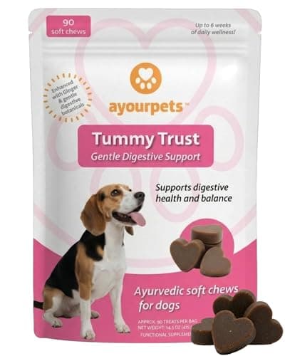 Ayourpets Dog Digestive Chews for Diarrhea, Loose Stool & Sensitive Stomachs – Holistic Herbal Gut Support with Ginger, Fennel & Turmeric – Pork Flavor – 90 Count