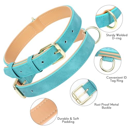 Jumpress Leather Dog Collar for Small Medium Large Dogs, Soft Padded Dog Leather Collar with Heavy Duty Gold Buckle, Durable & Comfortable for Medium Dogs Daily Walking (Teal, M) - Thumbnail 2