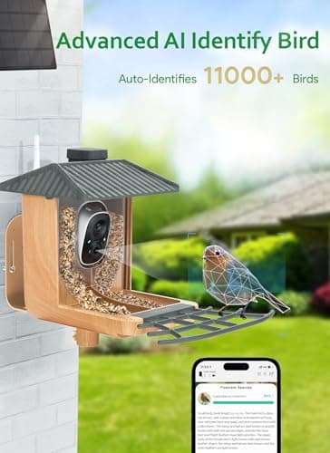 Osoeri Smart Bird Feeder with Camera, 1080P HD AI Identify & Capture Bird Videos, Auto Motion Detection, DIY Add-ons & Hummingbird Feeder, Wood Color-2 Bins - Thumbnail 3