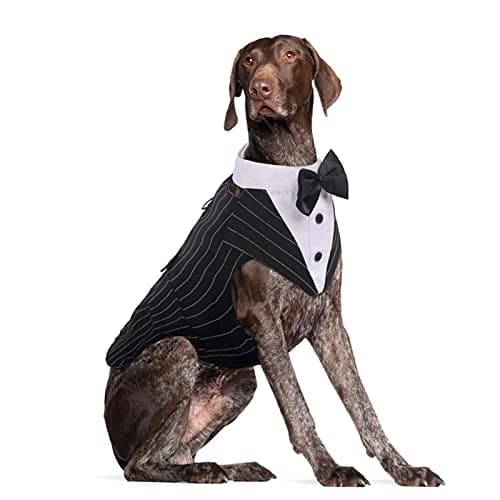 DORA BRIDAL Dog Tuxedo for Large Dogs, Dog Suit and Bowtie, Formal Dogs Wedding Outfit, Pet Tuxedo and Bandana Set Valentines Birthday Christmas Party Costumes for Labrador,Golden Retriever, Strip,2XL - Image 1
