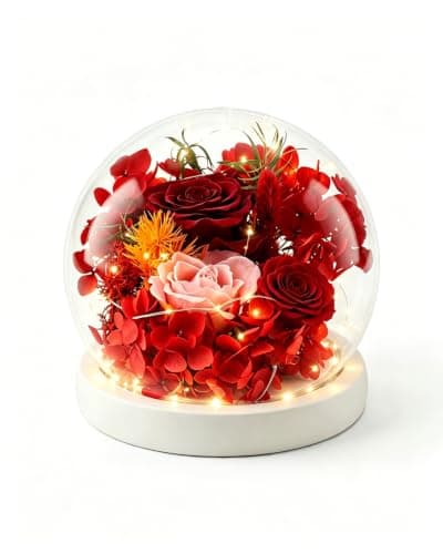 Nysunten Forever Preserved Flowers Decoration in Clear Glass Dome, Long Lasting Flowers Gift for Her, Forever Rose Gift for Mother’s Day Valentine’s Day (Red)