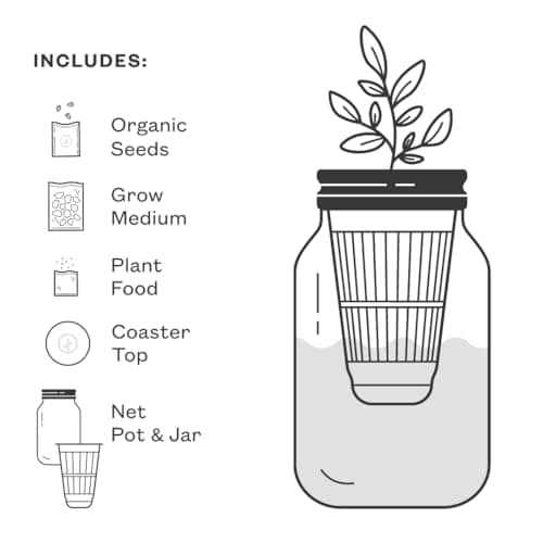 Modern Sprout New & Improved Mason Jar Grow Set, Indoor Herb Garden, Seed Starter Set, Sprouting Jar Planter, Organic Seeds, Hydroponic Growing (Basil + Lavender) - Thumbnail 6